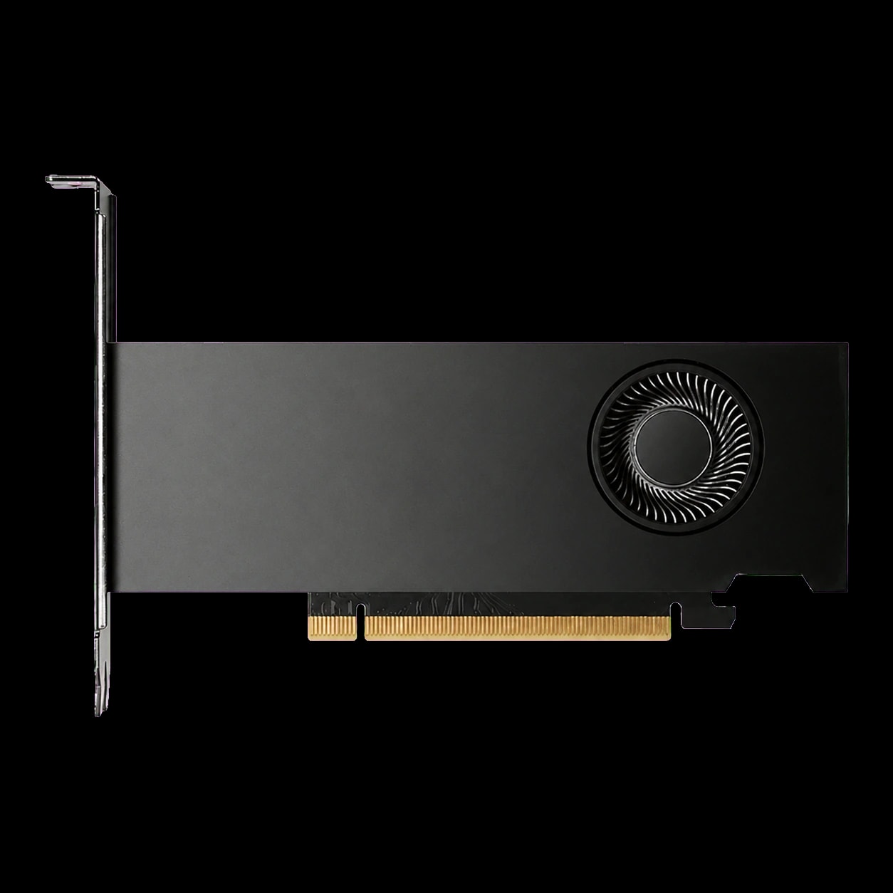 NVIDIA RTX 2000 Ada Generation 16GB GDDR6 Professional Graphics Card